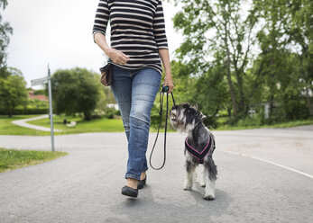 Low section of senior woman walking with dog on street - MASF04333