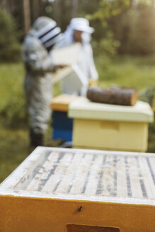 Bienenstöcke auf einem Feld mit Imkern bei der Arbeit im Hintergrund - MASF04450