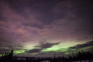 Scenic view of aurora borealis over trees - CAVF38649