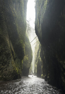 Fernansicht eines Wanderers in der Oneonta-Schlucht - CAVF38720