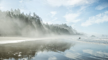 Idyllic view of Indian Beach at Ecola State Park during foggy weather - CAVF38747