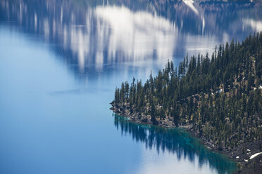 High angle view of trees by Crater Lake - CAVF38755