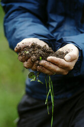 Midsection of man holding soil while standing at farm - CAVF38876