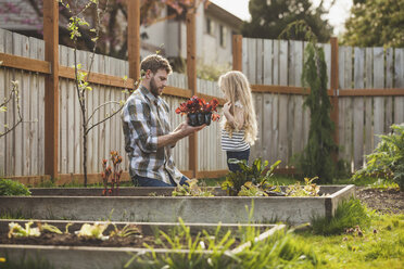 Vater zeigt seiner Tochter eine Pflanze bei der Gartenarbeit im Hinterhof - CAVF38915