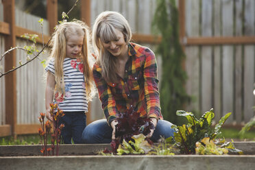 Smiling woman with daughter looking at plants in raised bed - CAVF38917