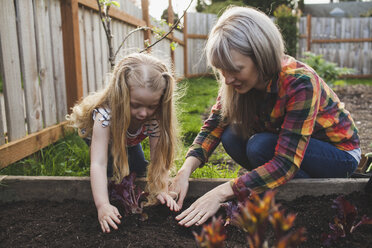 Girl with mother planting in raised bed at backyard - CAVF38919