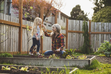 Mother holding hand of daughter walking on raised bed at backyard - CAVF38921