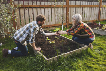 Ehepaar pflanzt im Hochbeet bei der Gartenarbeit im Hinterhof - CAVF38929