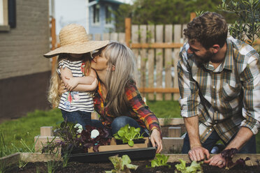 Man looking wife and daughter while gardening at backyard - CAVF38932