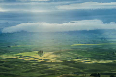 Blick auf grüne Landschaft gegen bewölkten Himmel, lizenzfreies Stockfoto