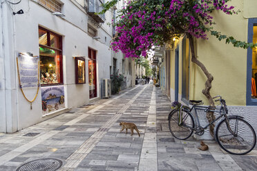 Griechenland, Peloponnes, Argolis, Nauplia, Altstadt, Gasse mit blühenden Bougainvillea - MAMF00032