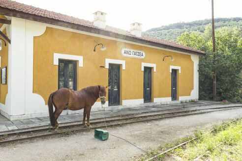 Griechenland, Pilion, Ano Gatzea, Pferd vor Bahnhof der Schmalspurbahn stehend - MAMF00055