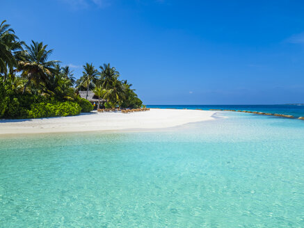 Maledives, Ross Atoll, beach bar and sandy beach with palms - AMF05695