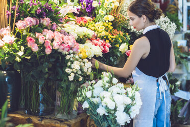 Rückansicht einer Blumenhändlerin, die Rosen aus Topfpflanzen pflückt - CAVF39152