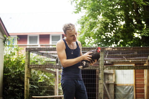 Landwirt mit Huhn in Geflügelfarm, lizenzfreies Stockfoto