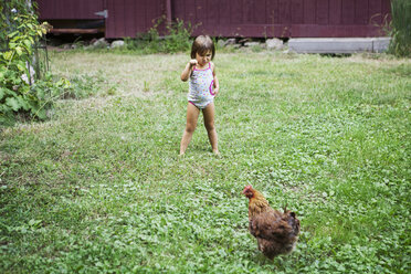 Girl looking at hen while standing in backyard - CAVF39408