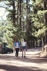 Freundinnen unterhalten sich beim Spaziergang im Wald - CAVF39618
