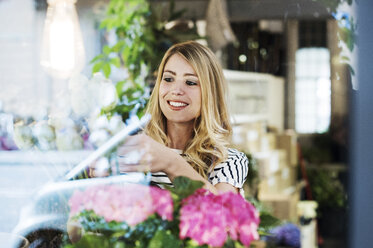 Florist arrangiert Blumen im Geschäft durch Glas gesehen - CAVF39835