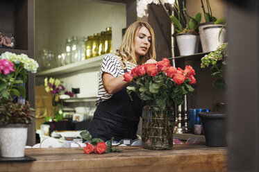 Florist arrangiert rote Rosen in einer Vase - CAVF39842