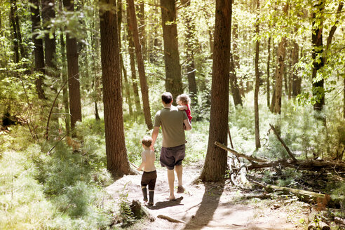 Hohe Winkelansicht von Vater mit Sohn und Tochter zu Fuß auf unbefestigten Weg inmitten des Waldes - CAVF40007