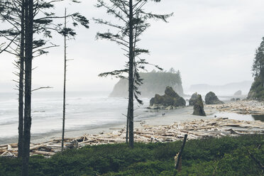 Blick auf den Ruby Beach bei klarem Himmel und nebligem Wetter - CAVF40042