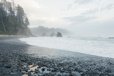 Scenic view of Ruby Beach against sky at dusk - CAVF40045