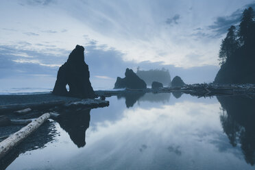 Blick auf die Felsformationen am Ruby Beach vor dem Himmel - CAVF40046