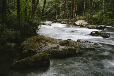 Landschaftlicher Blick auf den Sol Duc River im Olympic National Park - CAVF40054