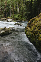 Scenic view of Sol Duc River flowing in forest - CAVF40055