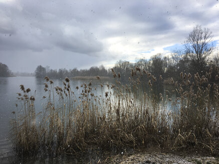 Baggersee - LVF06874