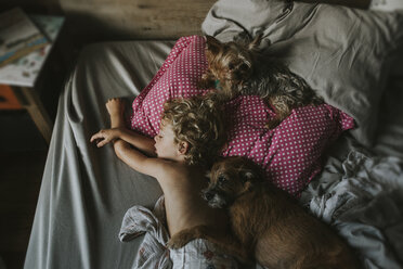 High angle view of boy sleeping with dogs on bed at home - CAVF40131