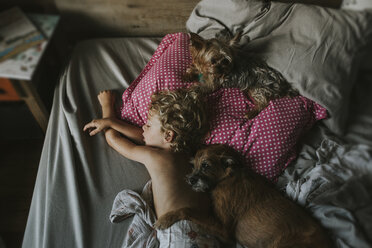 Hoher Blickwinkel des Jungen, der mit Hunden auf dem Bett zu Hause schläft - CAVF40131