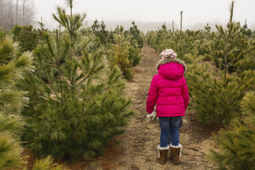 Rückansicht eines Mädchens im Winterhimmel einer Weihnachtsbaumfarm - CAVF40339