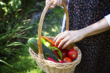 Ausgeschnittenes Bild einer Frau, die Gemüse in einem Korb im Garten hält - CAVF40407