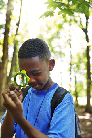 Junge, der im Wald stehend Samen untersucht, lizenzfreies Stockfoto