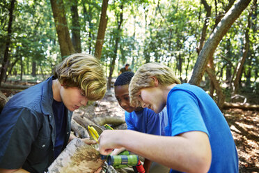 Friends examining trees in forest - CAVF40458
