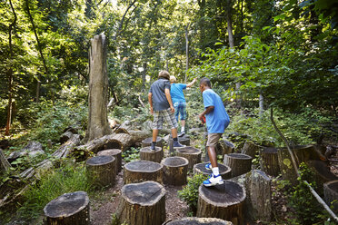 Boys walking on tree stumps in forest - CAVF40459