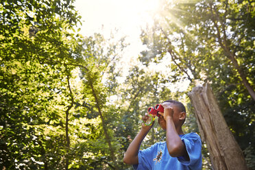 Junge schaut durch ein Fernglas im Wald - CAVF40460