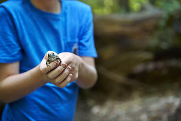 Mittelteil eines Jungen mit Frosch im Wald - CAVF40464