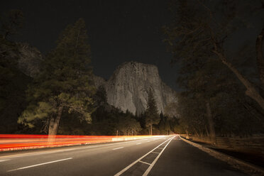Light trails on road by forest at night - CAVF40593