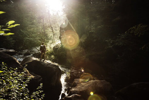 Wanderer steht in voller Länge auf einem Felsen am Bach im Wald an einem sonnigen Tag - CAVF40671