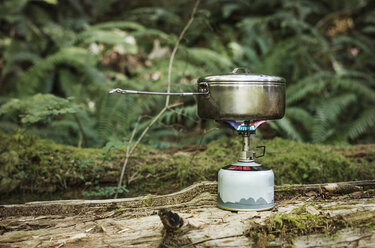 Container over camping stove on log at forest - CAVF40676