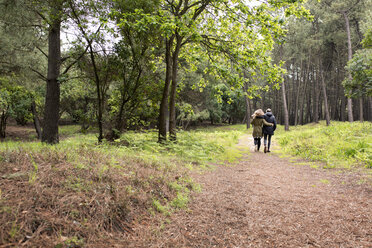 Rückansicht eines Paares beim Spaziergang im Wald - CAVF40811