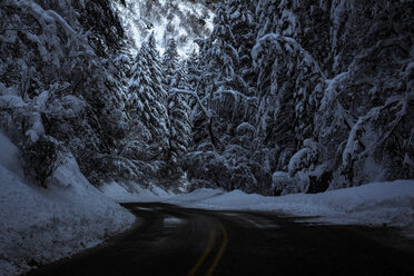 Straße inmitten von verschneiten Bäumen - CAVF40894