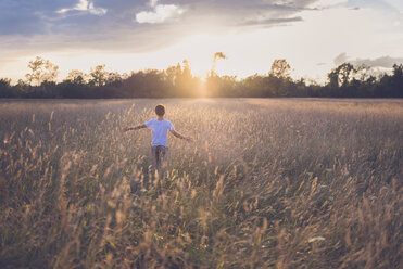 Rückansicht eines Jungen mit ausgestreckten Armen, der bei Sonnenuntergang inmitten von Pflanzen auf einem Feld steht - CAVF40908