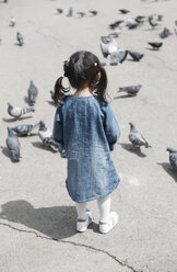 Rear view of girl watching at pigeons on street - CAVF41266