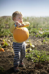 Boy carrying pumpkin on field during sunny day - CAVF41344