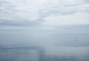 Seascape against cloudy sky - CAVF41376