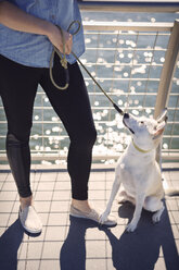 Niedriger Ausschnitt einer Frau mit Hund, die an einem Geländer am Fluss steht - CAVF41500