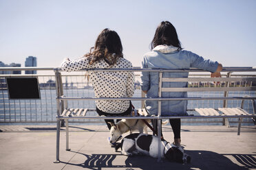 Rückansicht von Frauen mit Hunden, die auf einer Bank über einer Brücke sitzen, gegen einen klaren Himmel - CAVF41505
